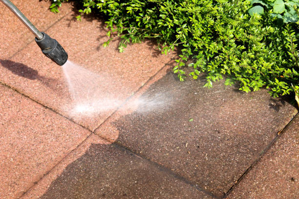 Deck Cleaning Services in Sale Creek, TN