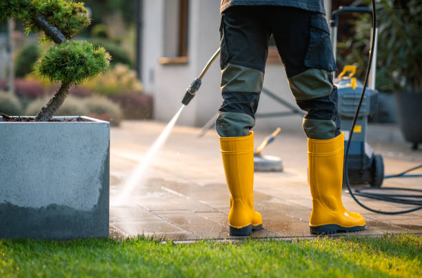  Sale Creek, TN Pressure Washing Pros